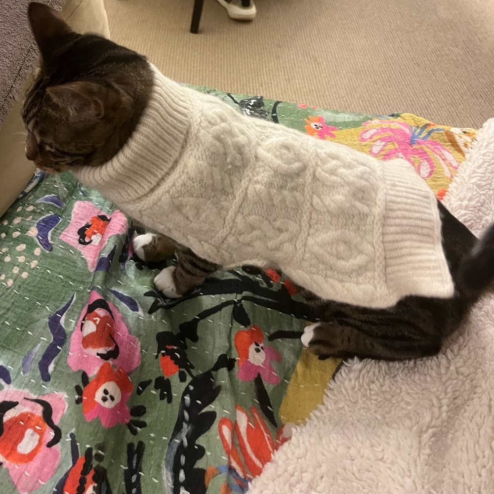 Aran Crafts Wool Fishermen’s sweater for small cat/dog